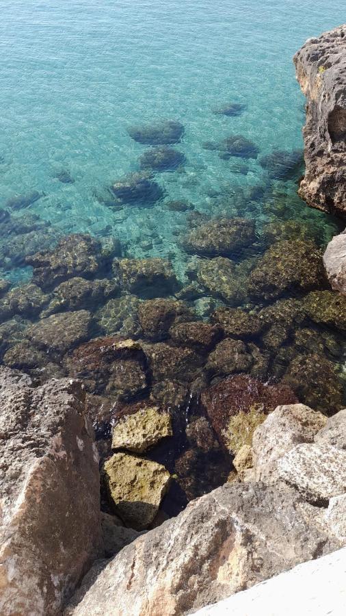 La Preferita Appartamento Vista Lato Mare مونوبولي المظهر الخارجي الصورة